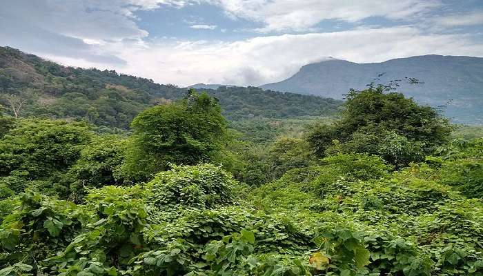 Kovai Kutralam