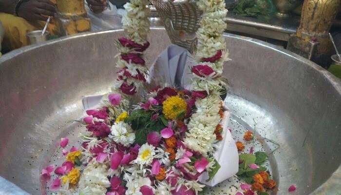 Thousands throng Kuber Bhandari Temple for Maha Shivaratri, and spiritual renewal and purification are witnessed within Gujarat, India.