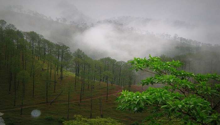 Kumaon vs Garhwal: A beautiful view of Kumaon's hill station.