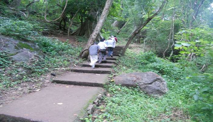 People are going to Kumbhavurutty Waterfalls for a great visit.