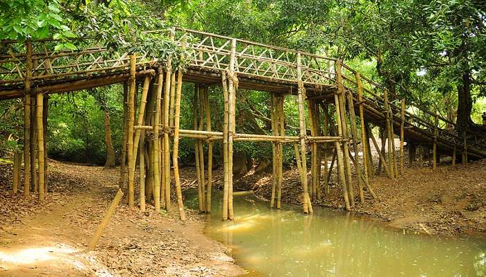 A beautiful bamboo bridge on Kuruva Island