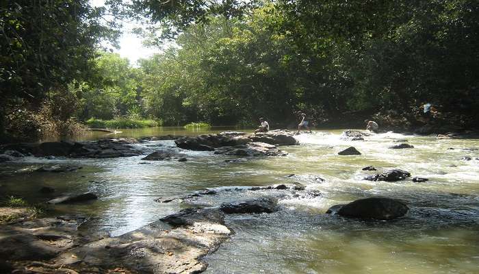 Kuruva Island In Wayanad