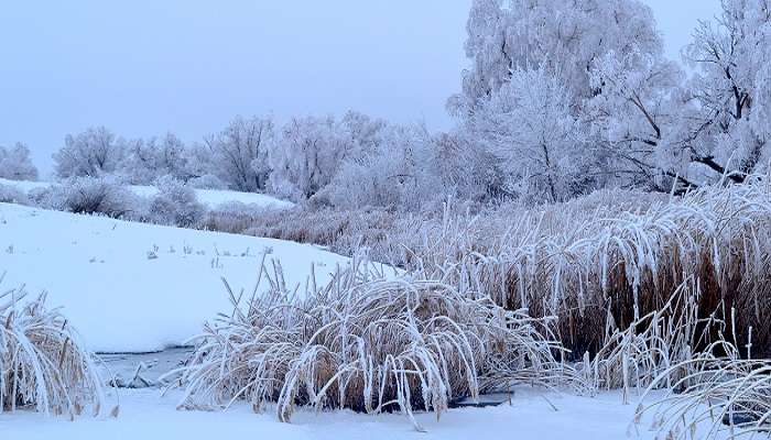 La Russie est encore meilleure dans la neige