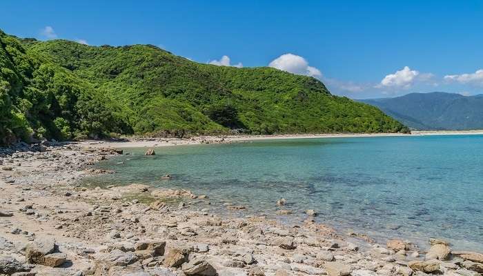 La vue magnifique de la plage de Wainui