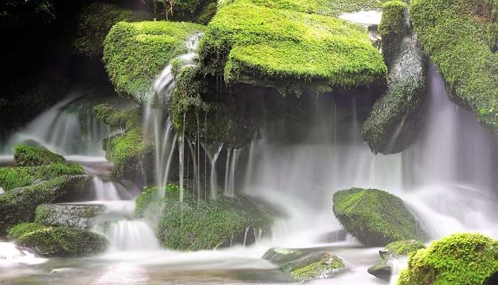 scenic beauty of Lakkam Waterfall In Munnar