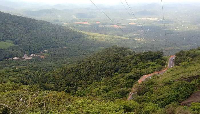 The breathtaking view of Lakkidi viewpoint