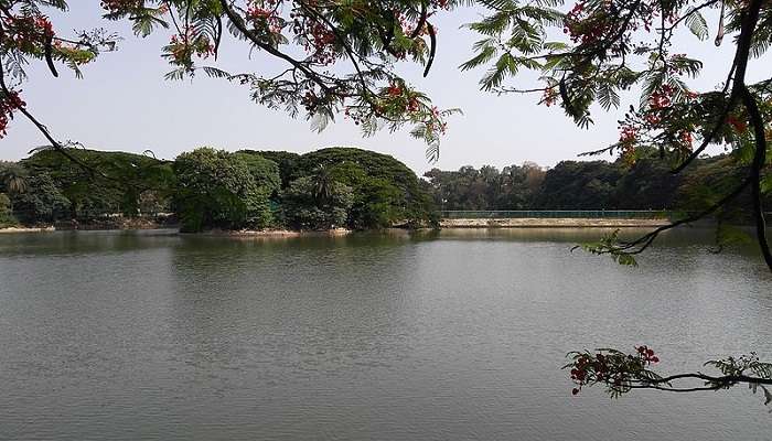 Have fun at the Lalbagh Botanical Garden, which is one of the best places to visit near Bangalore Palace