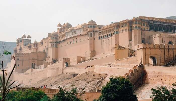 Book your tour to Makarpura Palace and let the history sink in.