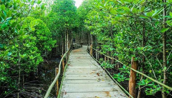 A beautiful botanical garden is the best thing to do in Lismore.