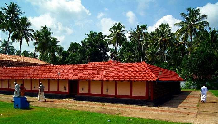 Avail yourself of a joyful boat cruise to the Kariavattom Pozhiyoor Lake.