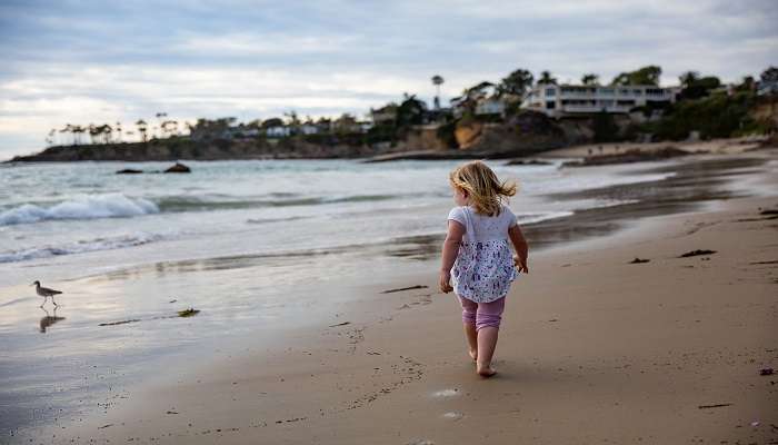 Long Walks Along The Beach Shore