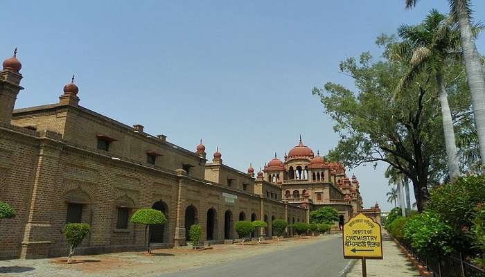 explore the Maharaja Ranjit Singh Museum.