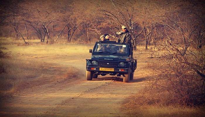 Jeep riding at adventure park Ranthambore.