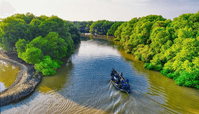  A Beautiful mangrove forest in Poovar is one of the places to visit in Poovar. 