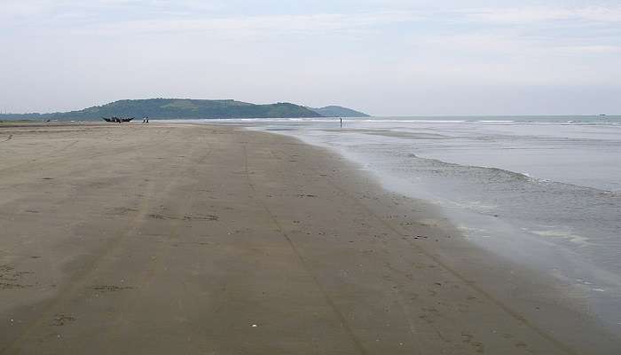 View the expansive Morjim Beach with sunbeds, colourful beach shacks, and people indulging in water activities with palm trees in the background.