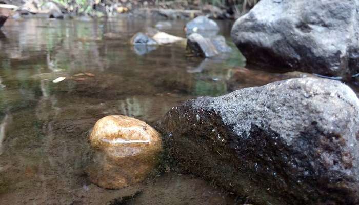 Still water of Narasipuram