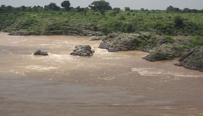  A group of pilgrims walking along the picturesque path of Narmada Parikrama, with the sacred river of Narmada flowing serenely by their side, surrounded by lush greenery of plants and distant hills. 