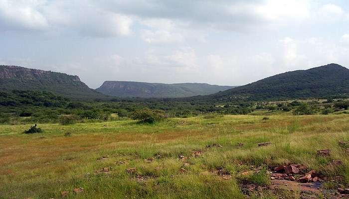 Ranthambore National Park in its vicinity, add to the serenity and picture-perfectness