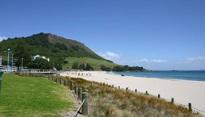 Bay of Plenty, New Zealand. 