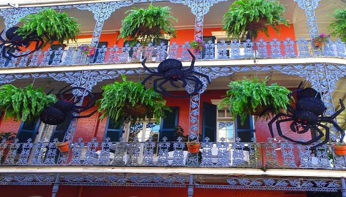 A stunning view of Halloween celebration in Lousiana