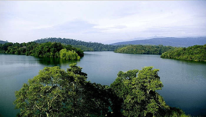 You should take a trip to Neyyar Estuary during your trip. 