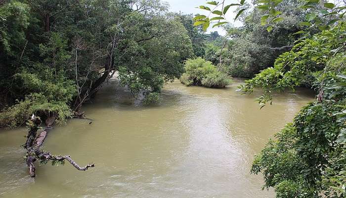 Nisargadhama in Coorg