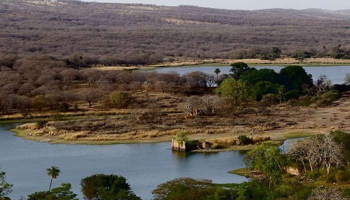 Beautiful surroundings of the Padam Talao lake near the Wild Dragon Adventure Park Ranthambore.