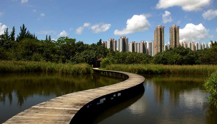 Parc des terres humides de Hong Kong: Pour voir la nature sauvage