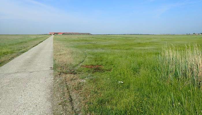 Parc national de Hortobagy: la faune hongroise