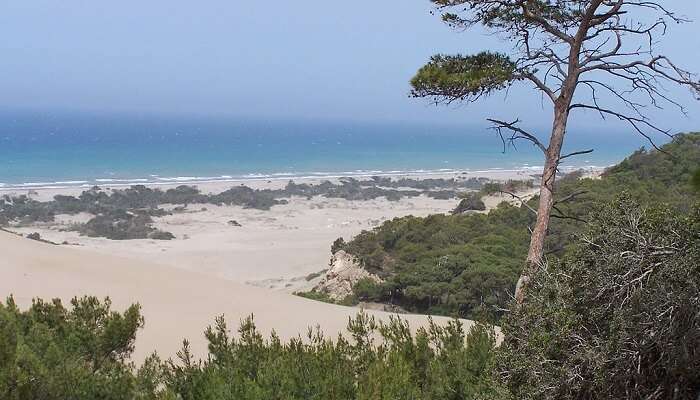 Farview of the serene Patara Beach