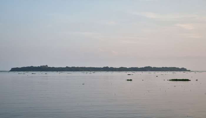 Enjoy the boat trip to Pathiramanal Island and see nature at its best place to visit in Kuttanad! 