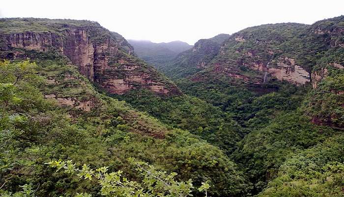 Rajat Prapat dense forest in Madhya Pradesh