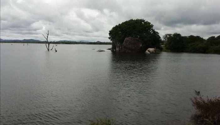 a scenic view of lake at Sowripalayam.