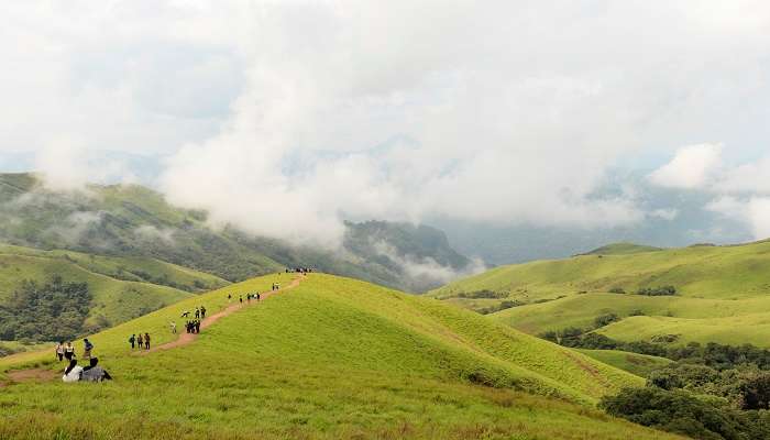 Trekking trail to click beautiful pictures 