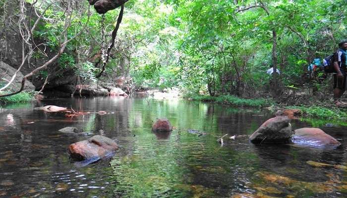 Book your adventurous trek in Nagalapuram Andhra Pradesh now. 