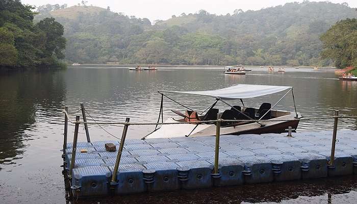 Pookode Lake In Wayanad