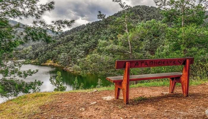 Pothamedu View a top place to visit In Munnar in 1 day. 