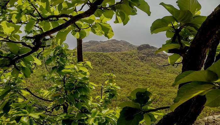 Priyadarshini view point in Madhya Pradesh 