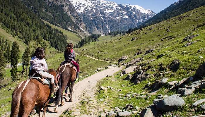 Promenades a poney