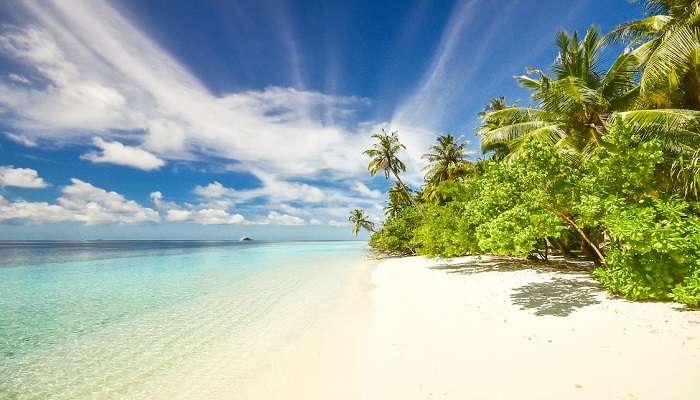 Visit the Munakkal Beach.