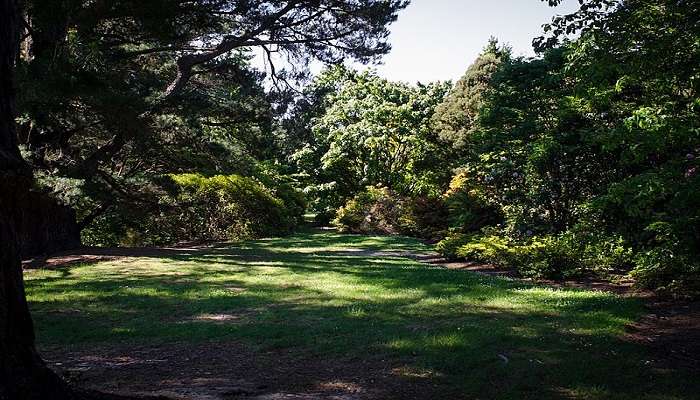 View of a park lawn