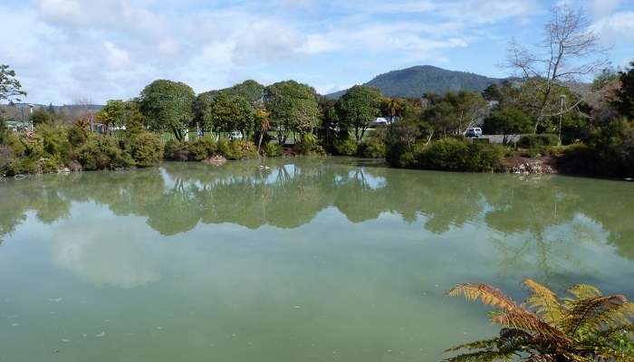 Rotorua- Plongez dans les piscines géothermiques