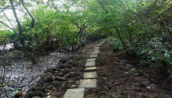 Photo of the entry gate of Salim Ali Bird Sanctuary near the Mayem lake.