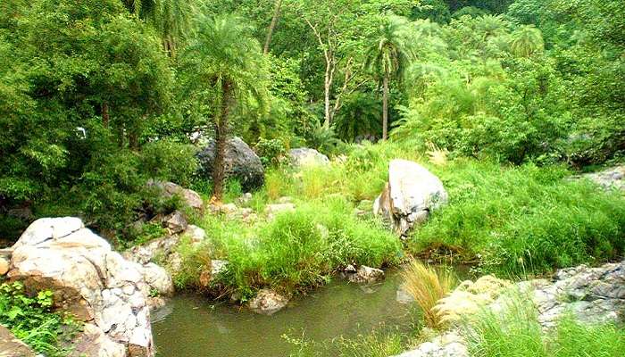 Sariska Tiger Reserve near the Siliserh Lake.