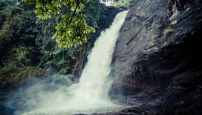 Visiting Soochipara Waterfalls during monsoons is definitely one of the best decisions ever considering the beauty it has to offer.