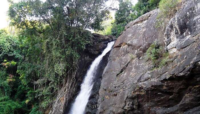 The serene view of Soochipara waterfalls