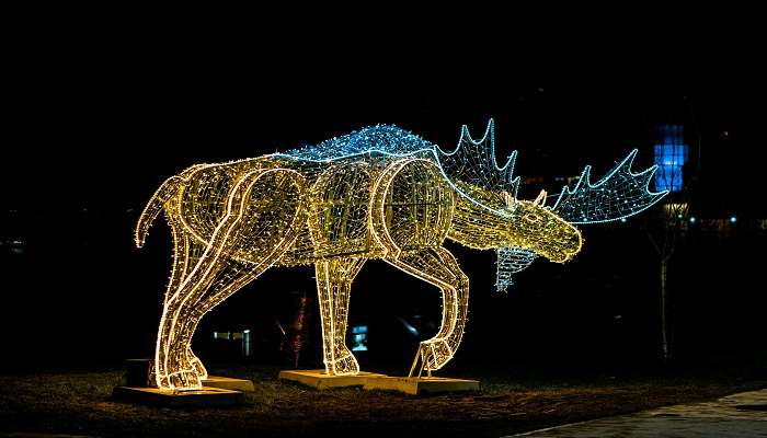 Sparkling Light Show, Niagara Falls Festival of Lights