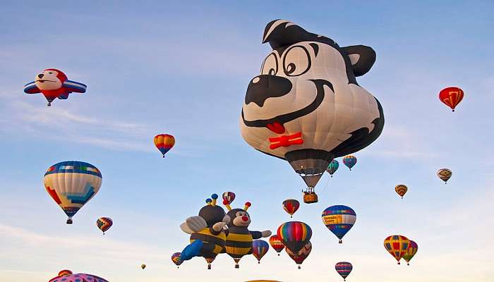 Albuquerque balloon fiesta balloon rides