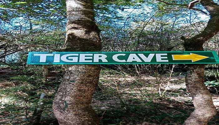 The Way to Tiger Cave at Eco Cave Park