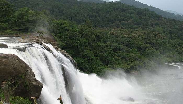 Explore the true beauty of Kumbhavurutty Falls with your loved ones.